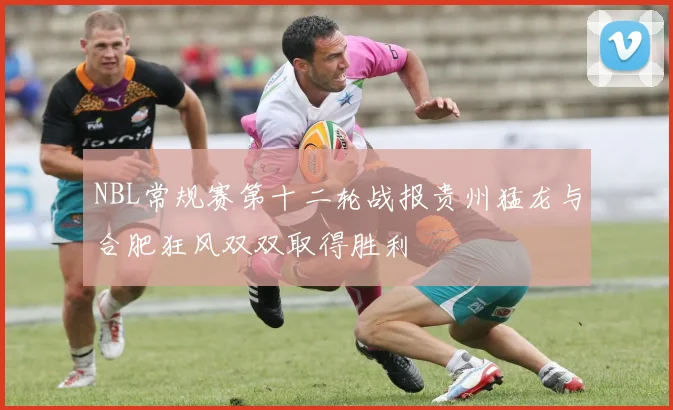NBL常规赛第十二轮战报贵州猛龙与合肥狂风双双取得胜利